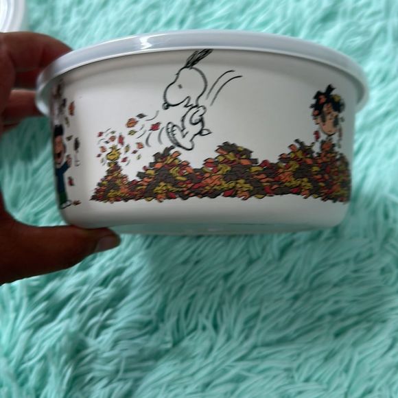 Peanuts snoopy seasonal containers storage perfect for fall thanksgiving… - Picture 8 of 8